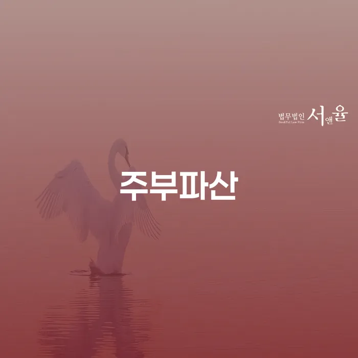 카드빛 빚청산 진행하는