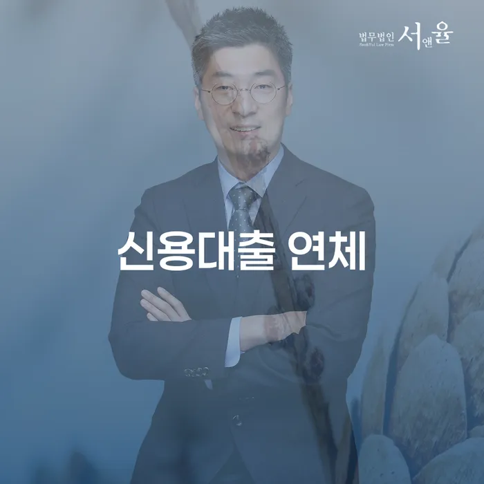 주부파산 채무조정제도을 이용하여 해결하고 싶다면
