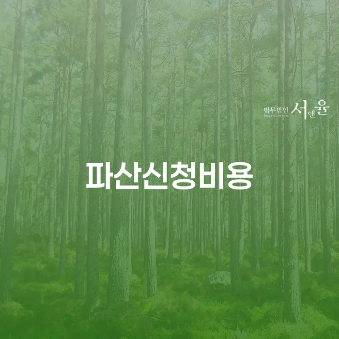 개인회생렌트카 연체 채무 신속해결방법 전문가와 함께