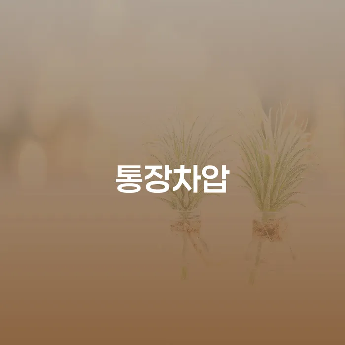 군인개인회생 개인파산 상담받아보기