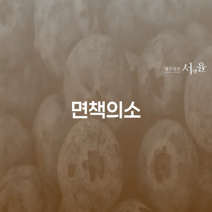 캐피탈주부대출 연체 시 개인회생 제도 과정을
