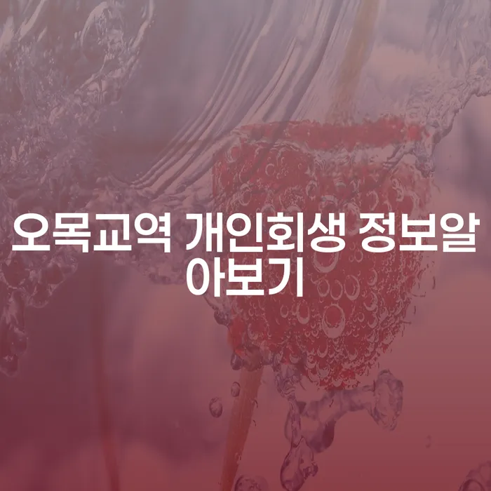 오목교역 개인회생 정보알아보기