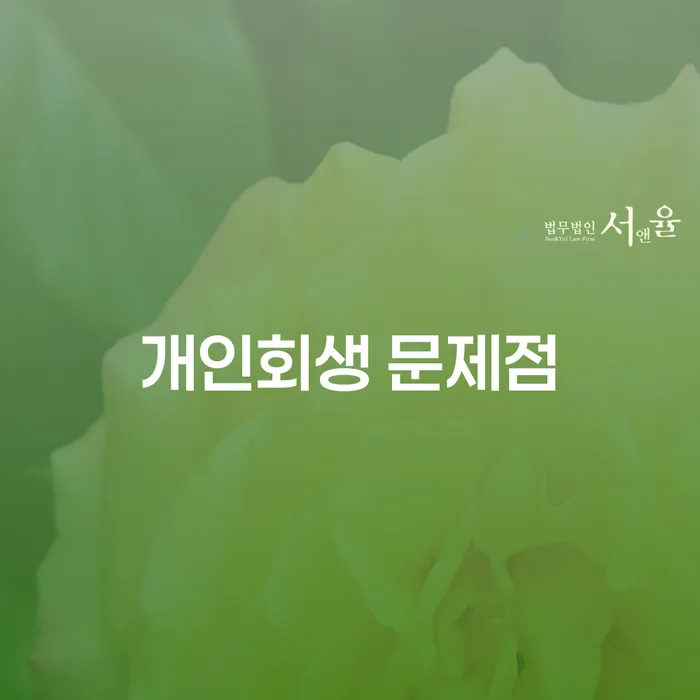 개인회생 문제점, 무엇이 문제일까요?