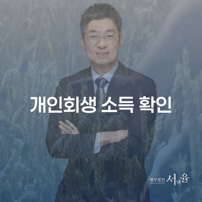 개인회생 소득 확인, 안심하고 신청 가능한 방법은?