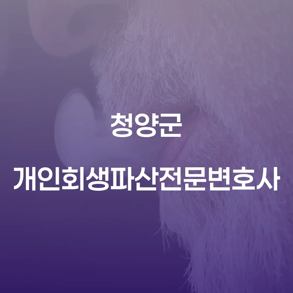 청양군 개인회생파산전문변호사의 역할과 절차