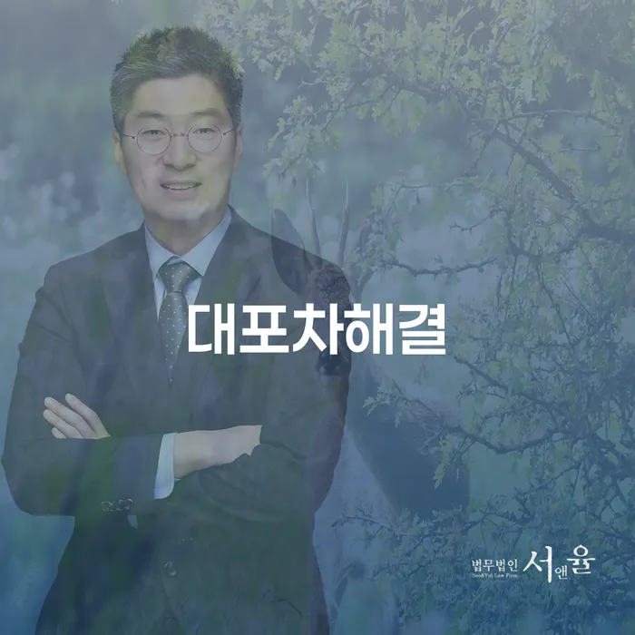 대포차 문제를 어떻게 해결할 수 있을까요?