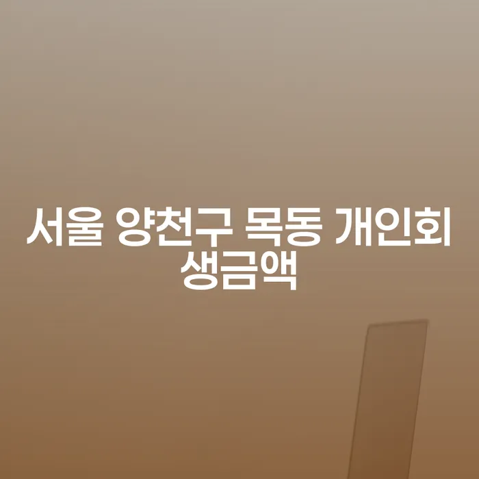 서울 양천구 목동 개인회생금액, 어떻게 조정할 수 있을까요?