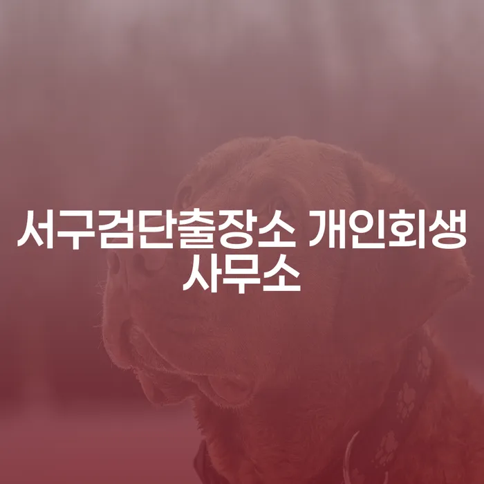 개인회생을 통해 채무 해결, 서구검단출장소 개인회생사무소의 도움을 받을 수 있을까요?
